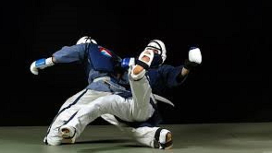 Photo du cours Yoseikan Budo
